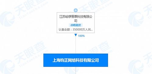 哈啰出行關(guān)聯(lián)公司注冊資本增至35億人民幣，信息系統(tǒng)集成服務(wù)或成戰(zhàn)略新支點(diǎn)